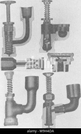 Image d'archive à partir de la page 575 de l'encyclopédie de l'horticulture ; Banque D'Images