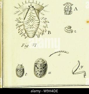 Image d'archive à partir de la page 578 d'Histoire abregée des insectes (1762) Banque D'Images