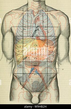 Image d'Archive de la page 1446 de Cunningham's Text-book d'anatomie (1914). Cunningham's Text-book d'anatomie cunninghamstextb00cunn Année : 1914 ( la cavité abdominale. 1413 Fig. 1103.-Face antérieure du tronc, montrant la topographie des viscères. M.C. ligne médio-claviculaire. Orifice tricuspide T.. A.C. Côlon ascendant. P.S. Para-ligne sternale. R.L. Poumon droit. T.C. Côlon transverse. Ligne verticale inguinale P.. L.L. Poumon gauche. D.C. côlon descendant. c.-à-d., infra-costal line. PI. Plèvre. 11. Côlon iliaque C.. Intertubercular. ligne T. L. Le foie. C.p. Côlon pelvien. Py. Ligne Transpyloric d'Addison. 0. (E Banque D'Images