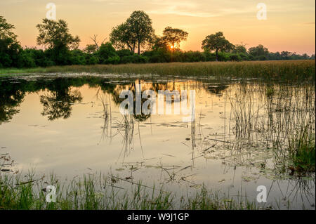 L'Afrique, Afrique australe, Afrique, Afrique, Botswana, Savuti, Okavango Delta, Sunrise, 30074400 *** *** légende locale l'Afrique, Afrique australe, Afrique Banque D'Images