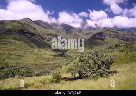 L'Afrique, Afrique du Sud, d'Afrique, du Nord, Drakensberg, le KwaZulu-Natal, le Parc National Royal Natal, 30074529 *** *** légende locale, l'Afrique, Afrique du Sud Banque D'Images