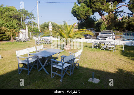 Location vacances cour avec palmiers et sur l'herbe verte journée d'été. Banque D'Images