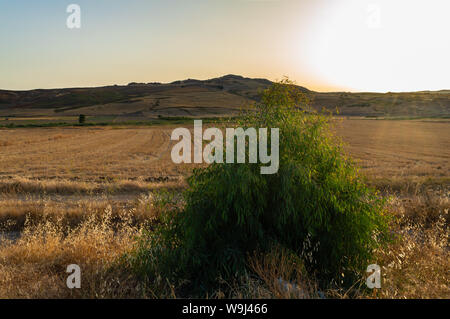 Beaux paysages siciliens au coucher du soleil, Caltanissetta, Sicile, Italie, Europe Banque D'Images