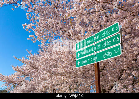 Voir de panneau et agrémentées de arbres fleuris, Washington D.C., Etats-Unis d'Amérique, Amérique du Nord Banque D'Images