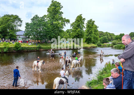 Appleby-in-Westmorland, Cumbria, Angleterre. L'Appleby Horse Fair, un rassemblement annuel de tsiganes et voyageurs et leurs chevaux. Banque D'Images