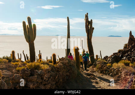 Parmi la famille cactus géants dans les salines de la bolivie Banque D'Images