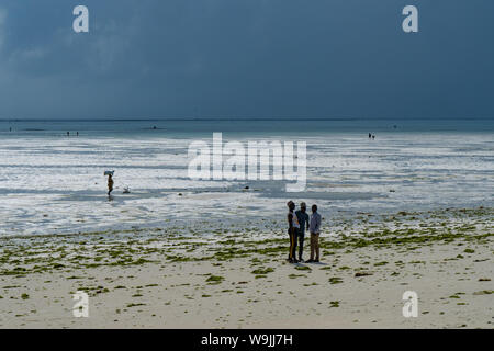 La population locale sur la plage à marée basse à proximité d'une ferme d'algues. Côte Est, Zanzibar Banque D'Images