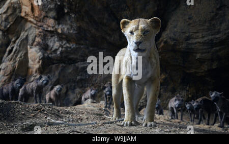 Le Roi Lion est un 2019 d'animation par ordinateur américain film américain réalisé et produit par Jon Favreau, écrit par Jeff Nathanson, et produit par Walt Disney Pictures. Cette photographie est fourni pour un usage éditorial uniquement et est l'auteur du film company et/ou de l'espace attribué par le photographe ou film société de production. Banque D'Images