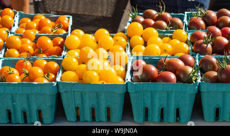 Couleur vert aqua fibre moulée produire des paniers remplis avec de l'orange-jaune et tomates cerises rouges sur une table au marché de fermiers Banque D'Images