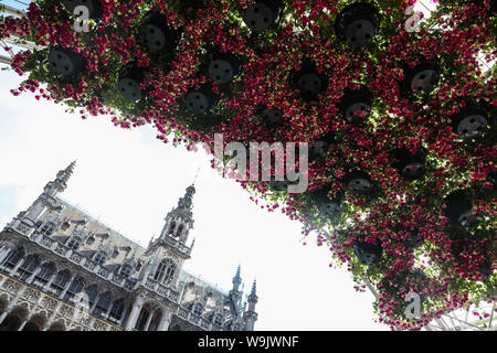 Bruxelles, Belgique. 14Th Aug 2019. Les fleurs sont vu le premier jour du Flowertime exposition à la Grand Place à l'extérieur de l'hôtel de ville de Bruxelles, Belgique, 14 août 2019. Tous les autres l'été, en alternance avec les tapis de fleurs de la Grand Place, l'Hôtel de Ville de Bruxelles reçoit Flowertime. Cette année, lors de l'événement de cinq jours, floral des artistes de nombreux pays et régions d'utiliser plus de 100 000 fleurs pour décorer les chambres historiques de l'hôtel de ville. Credit : Zheng Huansong/Xinhua/Alamy Live News Banque D'Images