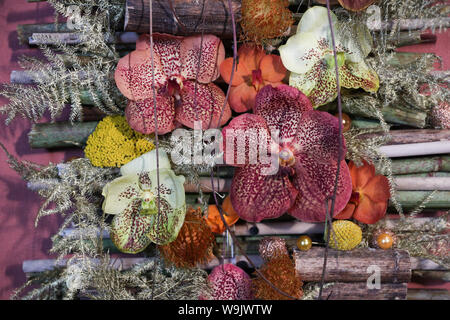 Bruxelles, Belgique. 14Th Aug 2019. Un morceau d'art floral est vu le premier jour de l'exposition Flowertime dans l'Hôtel de Ville de Bruxelles à Bruxelles, Belgique, 14 août 2019. Tous les autres l'été, en alternance avec les tapis de fleurs de la Grand Place, l'Hôtel de Ville de Bruxelles reçoit Flowertime. Cette année, lors de l'événement de cinq jours, floral des artistes de nombreux pays et régions d'utiliser plus de 100 000 fleurs pour décorer les chambres historiques de l'hôtel de ville. Credit : Zheng Huansong/Xinhua/Alamy Live News Banque D'Images