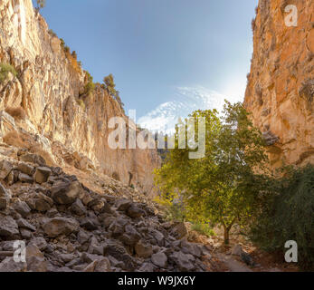 Gorge d'Avakas, Agios Georgios Pegeias, Chypre, Chypre, 30070160 Banque D'Images