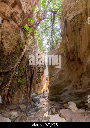 Gorge d'Avakas, Agios Georgios Pegeias, Chypre, Chypre, 30070161 Banque D'Images