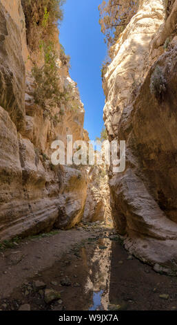 Gorge d'Avakas, Agios Georgios Pegeias, Chypre, Chypre, 30070163 Banque D'Images