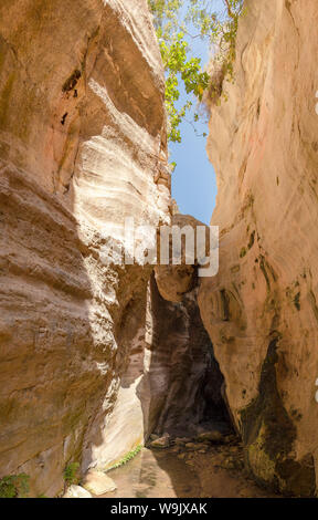 Gorge d'Avakas, Agios Georgios Pegeias, Chypre, Chypre, 30070165 Banque D'Images