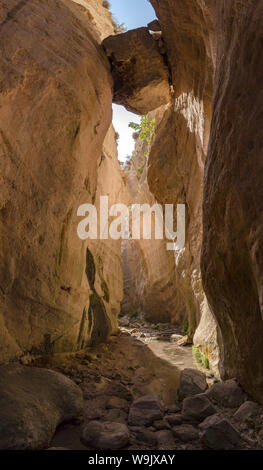 Gorge d'Avakas, Agios Georgios Pegeias, Chypre, Chypre, 30070168 Banque D'Images