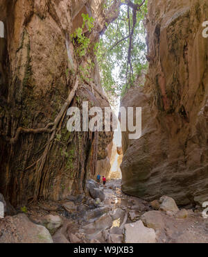 Gorge d'Avakas, Agios Georgios Pegeias, Chypre, Chypre, 30070164 Banque D'Images