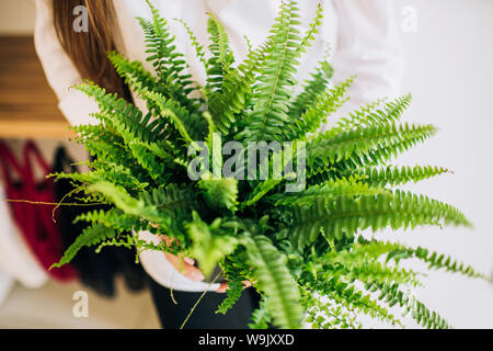 Libre de plante verte dans un pot noir, lieu de femmes. Banque D'Images