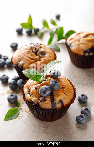 Muffins aux bleuets avec les baies fraîches Banque D'Images