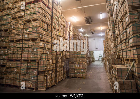 Stockage de fromage Banque D'Images