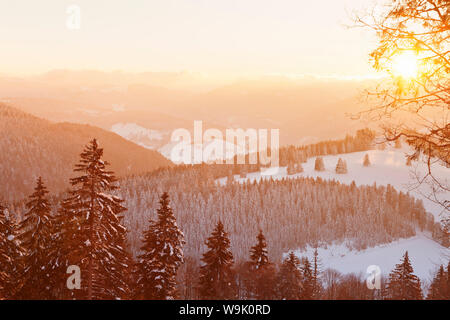 Paysage d'hiver au lever du soleil, montagne Belchen, Forêt-Noire, Bade-Wurtemberg, Allemagne, Europe Banque D'Images