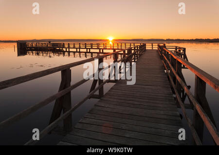 Au lever du soleil Lac Federsee, réserve naturelle, Bad Schussenried, en Haute Souabe, Bade-Wurtemberg, Allemagne, Europe Banque D'Images