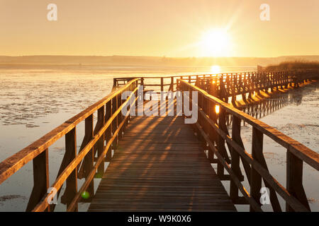 Au lever du soleil Lac Federsee, réserve naturelle, Bad Schussenried, en Haute Souabe, Bade-Wurtemberg, Allemagne, Europe Banque D'Images