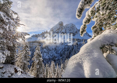 Le soleil illumine le paysage de neige et Sass de Putia en arrière-plan, le Passo delle Erbe, Funes, vallée du Tyrol du Sud, Italie, Europe Banque D'Images