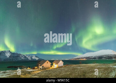 Les aurores boréales et les étoiles illuminent les maisons bois appelé Rorbu au bord de la mer, Djupvik, Alpes de Lyngen, Troms, Norvège, Scandinavie Banque D'Images