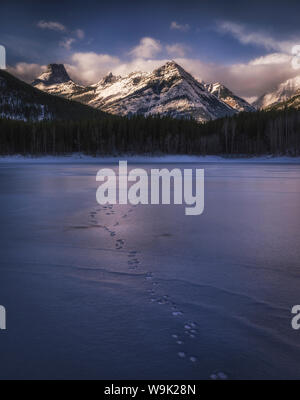 Paysage d'hiver de l'Ouest canadien à l'Étang du coin, les voies de la faune sur lac gelé, Kananaskis, Alberta, Canada, Amérique du Nord Banque D'Images