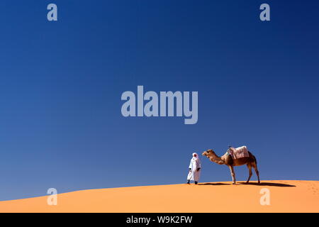 Homme berbère avec Camel sur la crête d'une dune de sable orange dans l'Erg Chebbi, la mer de sable du désert du Sahara, près de Merzouga, Maroc, Afrique du Nord, Afrique Banque D'Images