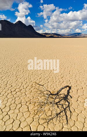 Le Grandstand dans Racetrack Valley, un lit de lac séché connu pour ses roches coulissantes sur la piste de Playa, Death Valley National Park, California, USA Banque D'Images