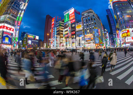 Quartier des divertissements Kabukicho allumé à la tombée de la nuit, Shinjuku, Tokyo, Japon, Asie Banque D'Images