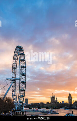 London Eye (grande roue du millénaire) au coucher du soleil, London Borough of Lambeth, Angleterre, Royaume-Uni, Europe Banque D'Images