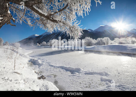 Le givre sur les arbres et le paysage enneigé du châssis rivière gelée, Inn, Celerina, Maloja, Canton des Grisons, Engadine, Suisse, Europe Banque D'Images