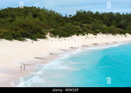 Célèbre plage de sable blanc et eaux turquoise, Horseshoe Bay, Bermudes, en Amérique du Nord Banque D'Images