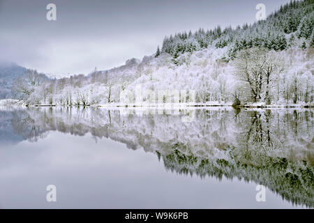 Réflexions sur le Loch Chon en hiver, Aberfoyle, Stirling, les Trossachs, Ecosse, Royaume-Uni, Europe Banque D'Images