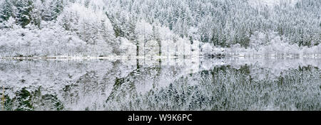 Réflexions sur le Loch Chon en hiver, Aberfoyle, Stirling, les Trossachs, Ecosse, Royaume-Uni, Europe Banque D'Images