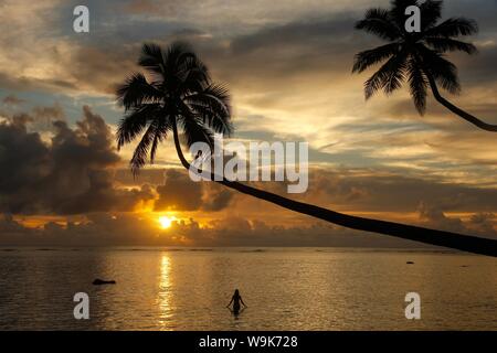 Silhouette penchée de palmiers et une femme au lever du soleil sur l'île de Taveuni, Fidji, Pacifique Banque D'Images