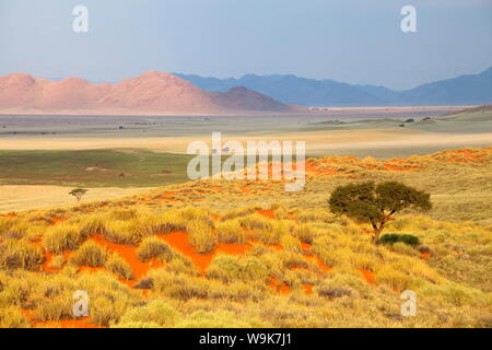 Vue panoramique sur le désert du Namib Rand game reserve baigné de lumière du soir, le Namib Naukluft Park, Namibie, Afrique Banque D'Images