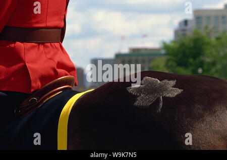 Le policier de la Gendarmerie royale du Canada avec cheval de marque Maple Leaf, Ottawa, Canada, Amérique du Nord Banque D'Images