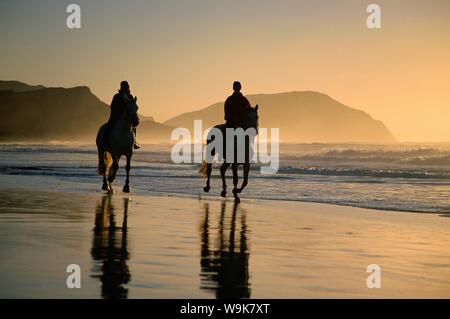 L'équitation sur la plage au lever du soleil, Gisborne, Côte Est, Ile du Nord, Nouvelle-Zélande, Pacifique Banque D'Images