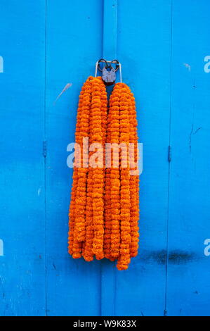 Porte, cadenas et des guirlandes de fleurs, Kolkata (Calcutta), West Bengal, Inde, Asie Banque D'Images