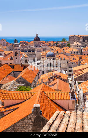 Vue sur le toit de tuiles en terre cuite de la vieille ville de Dubrovnik, site classé au Patrimoine Mondial de l'UNESCO, Dubrovnik, Croatie, la côte dalmate, Europe Banque D'Images