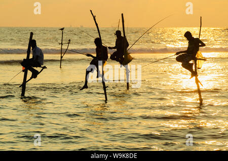 Les pêcheurs sur échasses, Dalawella, Sri Lanka, de l'Océan Indien, l'Asie Banque D'Images