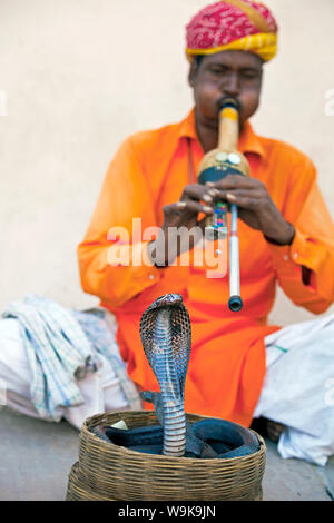 Cobra snake charmer à l'extérieur du City Palace, Jaipur, Rajasthan, Inde, Asie Banque D'Images