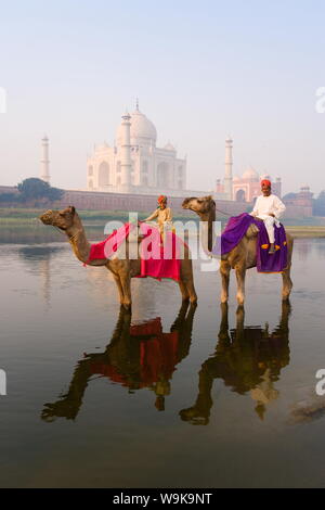 Man and boy chameaux dans la rivière Yamuna en face du Taj Mahal, UNESCO World Heritage Site, Agra, Uttar Pradesh, Inde, Asie Banque D'Images