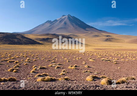 L'altiplano et le sommet du Cerro Miniques, réserve nationale Los Flamencos, Désert d'Atacama, région d'Antofagasta, Norte Grande, Chili Banque D'Images