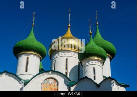 Cathédrale de la Transfiguration du Sauveur dans le Kremlin, UNESCO World Heritage Site, Suzdal, anneau d'Or, la Russie, l'Europe Banque D'Images