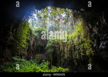 Système de grottes dans le parc national des Virunga, le Rwanda, l'Afrique Banque D'Images